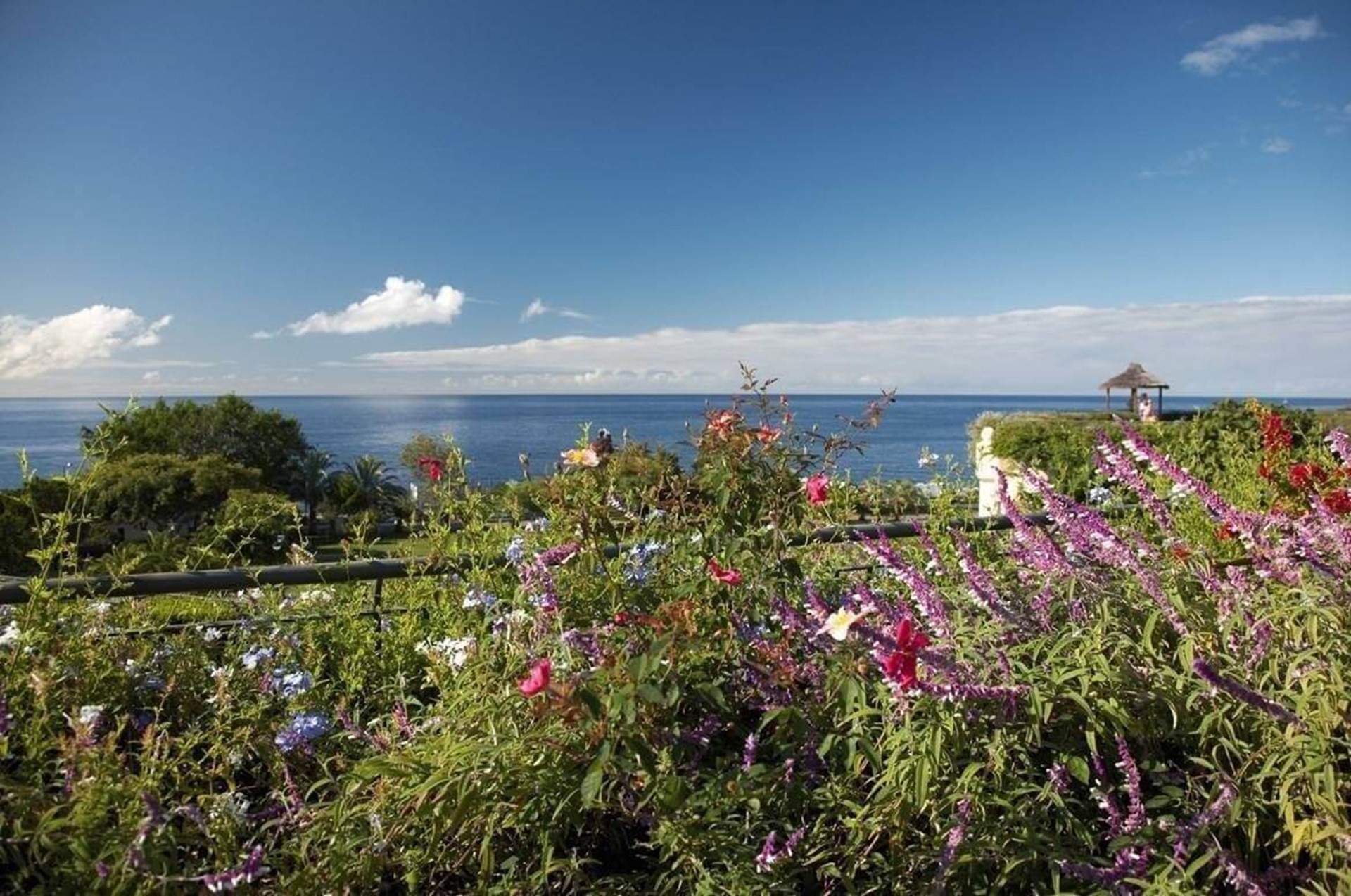 Vila Porto Mare - Gardens