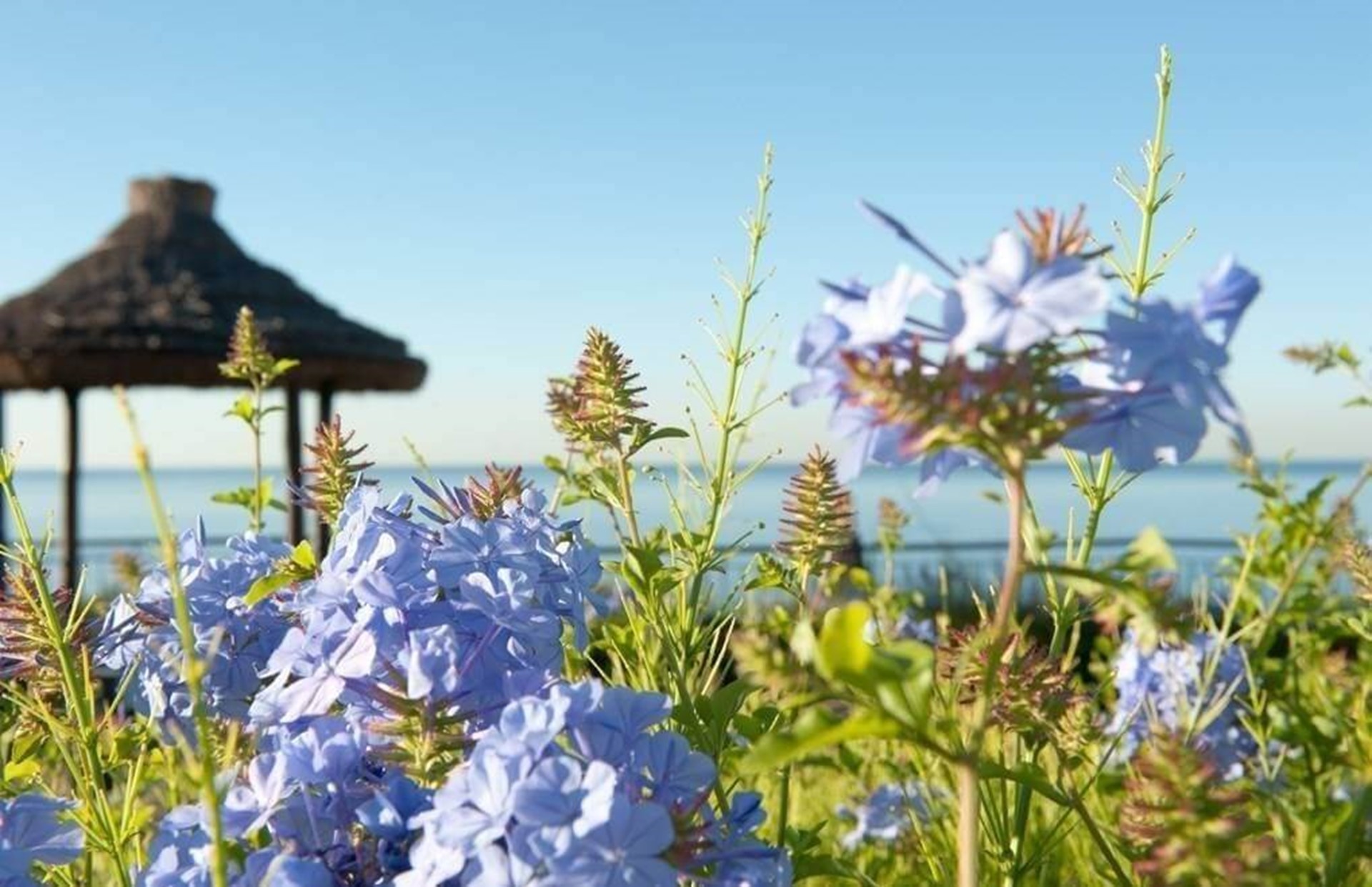Vila Porto Mare - Gazebo