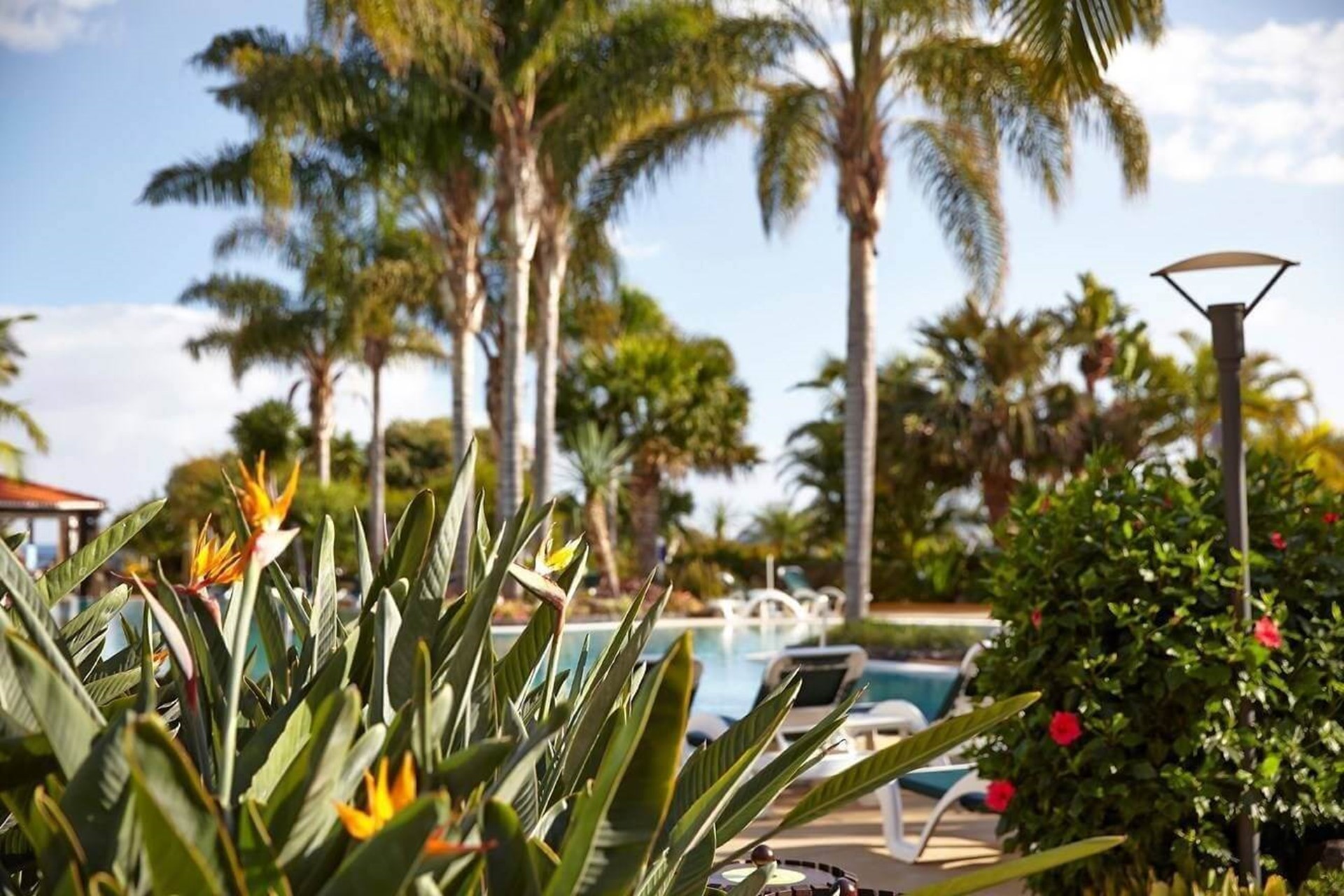 Vila Porto Mare - Gardens