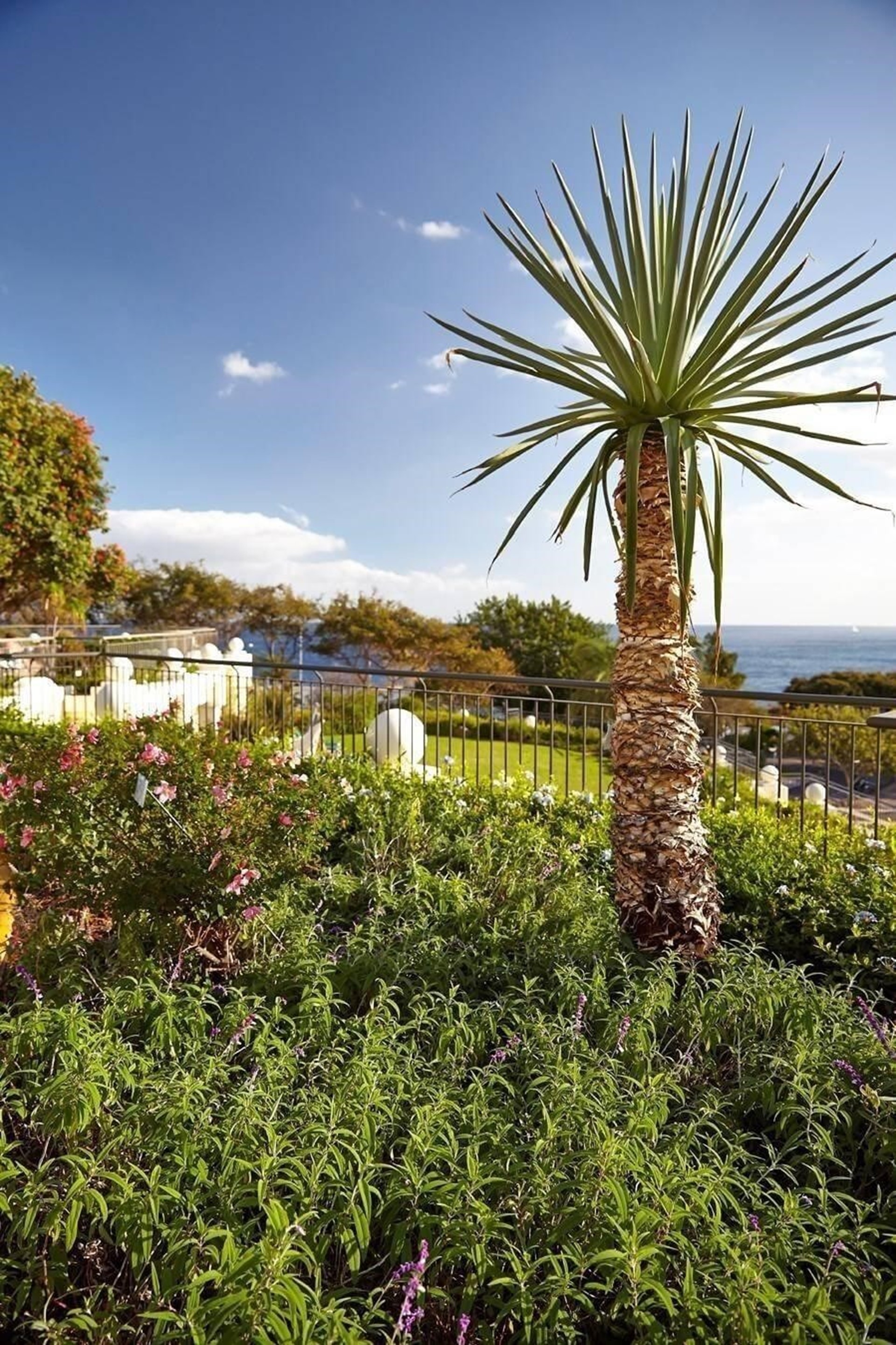 Vila Porto Mare - Gardens