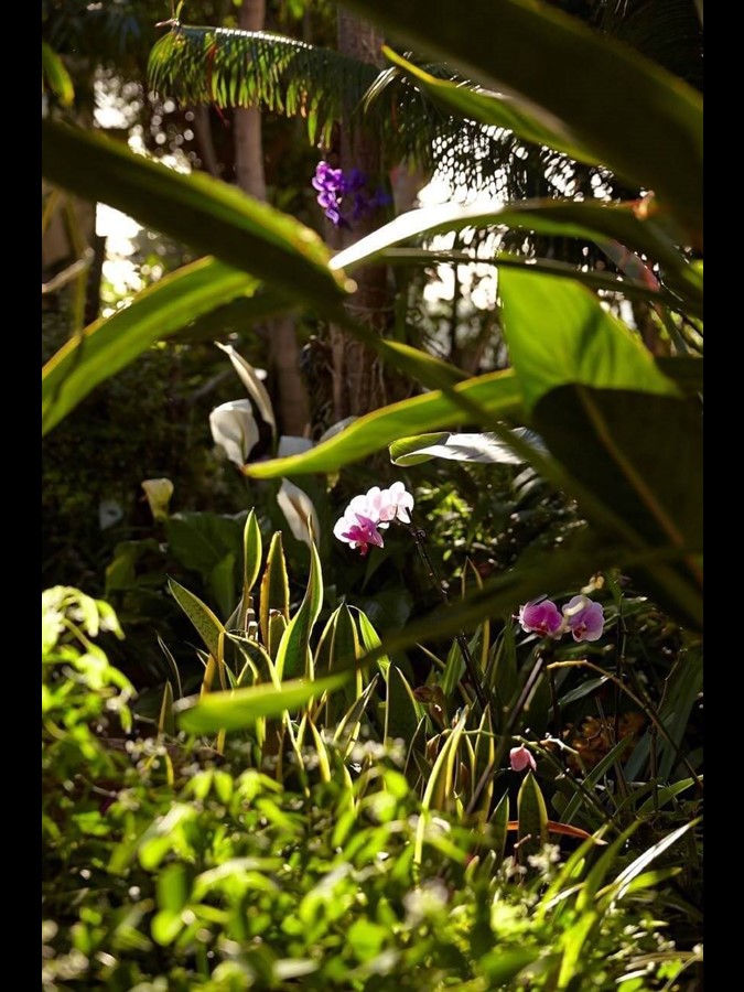 Vila Porto Mare - Gardens